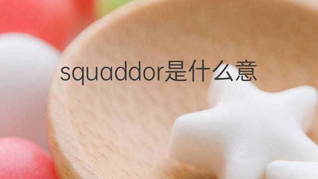 squaddor是什么意思 squaddor的中文翻译、读音、例句