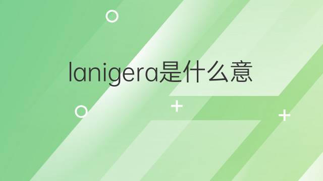 lanigera是什么意思 lanigera的中文翻译、读音、例句