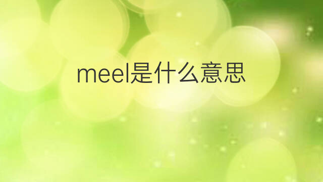 meel是什么意思 meel的中文翻译、读音、例句