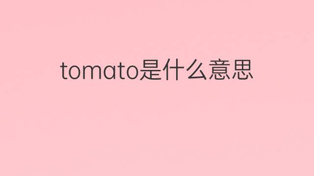 tomato是什么意思 tomato的中文翻译、读音、例句