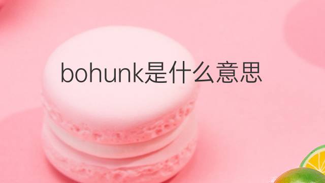bohunk是什么意思 bohunk的中文翻译、读音、例句
