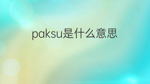 paksu是什么意思 paksu的中文翻译、读音、例句