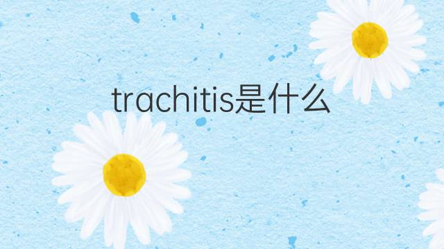 trachitis是什么意思 trachitis的中文翻译、读音、例句