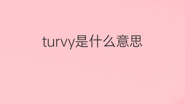 turvy是什么意思 turvy的中文翻译、读音、例句
