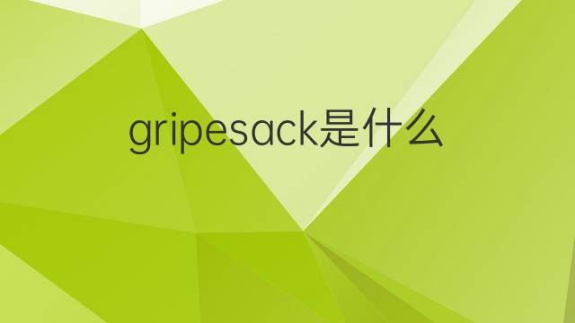 gripesack是什么意思 gripesack的翻译、读音、例句、中文解释