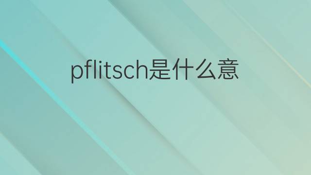 pflitsch是什么意思 pflitsch的中文翻译、读音、例句