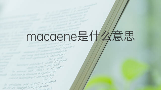 macaene是什么意思 macaene的中文翻译、读音、例句