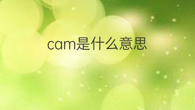 cam是什么意思 cam的中文翻译、读音、例句