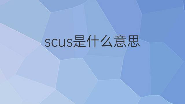 scus是什么意思 scus的中文翻译、读音、例句