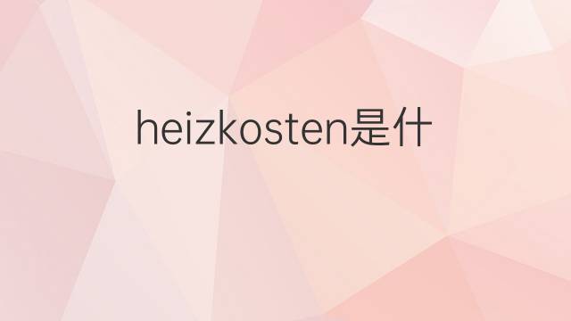 heizkosten是什么意思 heizkosten的翻译、读音、例句、中文解释