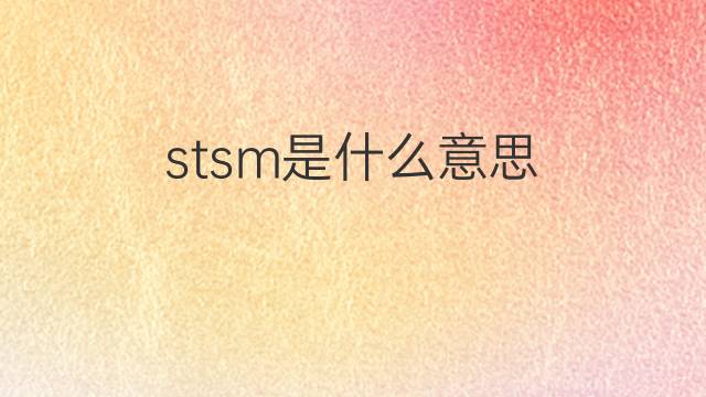 stsm是什么意思 stsm的中文翻译、读音、例句