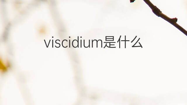 viscidium是什么意思 viscidium的翻译、读音、例句、中文解释