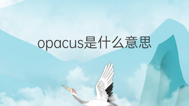 opacus是什么意思 opacus的中文翻译、读音、例句