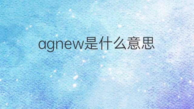 agnew是什么意思 agnew的中文翻译、读音、例句