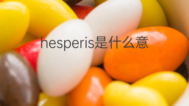 hesperis是什么意思 hesperis的翻译、读音、例句、中文解释