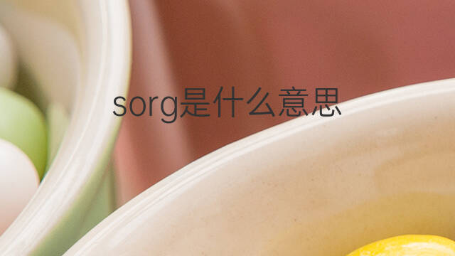 sorg是什么意思 sorg的中文翻译、读音、例句