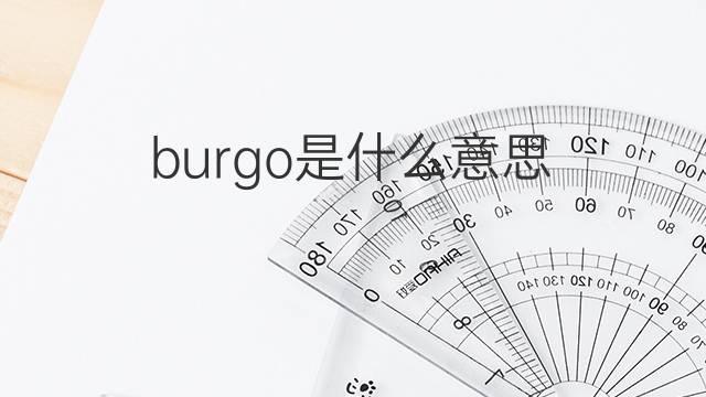 burgo是什么意思 burgo的翻译、读音、例句、中文解释
