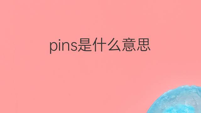 pins是什么意思 pins的中文翻译、读音、例句