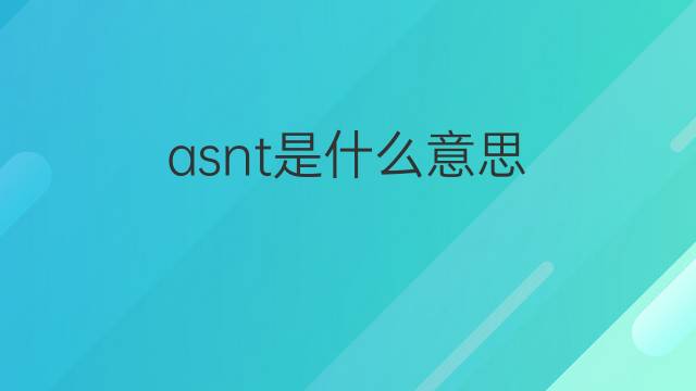 asnt是什么意思 asnt的中文翻译、读音、例句