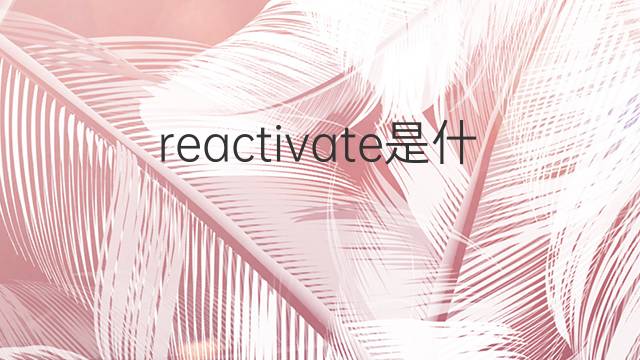 reactivate是什么意思 reactivate的中文翻译、读音、例句