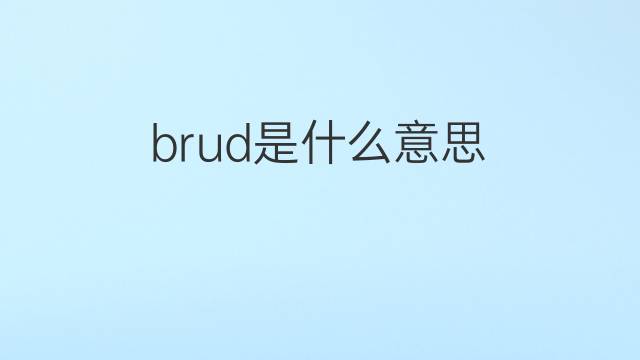 brud是什么意思 brud的中文翻译、读音、例句