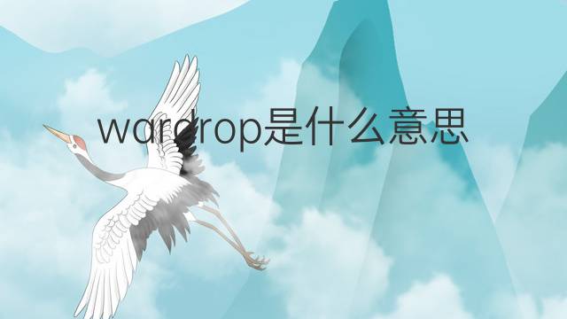 wardrop是什么意思 wardrop的翻译、读音、例句、中文解释
