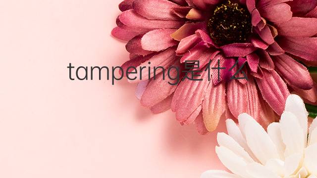 tampering是什么意思 tampering的中文翻译、读音、例句
