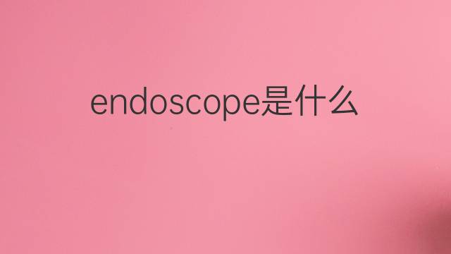 endoscope是什么意思 endoscope的中文翻译、读音、例句