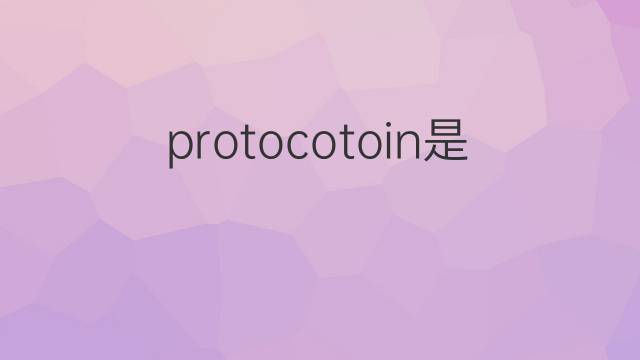 protocotoin是什么意思 protocotoin的中文翻译、读音、例句