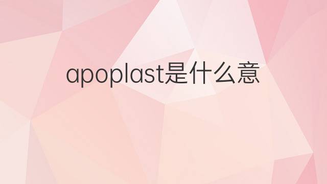 apoplast是什么意思 apoplast的中文翻译、读音、例句