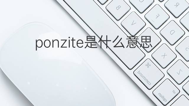 ponzite是什么意思 ponzite的中文翻译、读音、例句