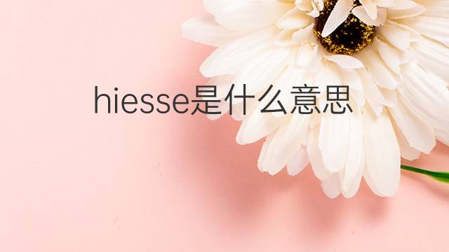 hiesse是什么意思 hiesse的中文翻译、读音、例句