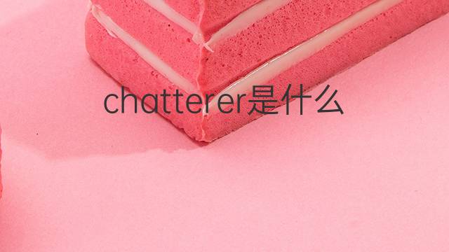 chatterer是什么意思 chatterer的中文翻译、读音、例句