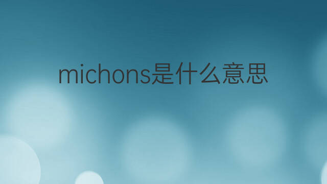 michons是什么意思 michons的中文翻译、读音、例句