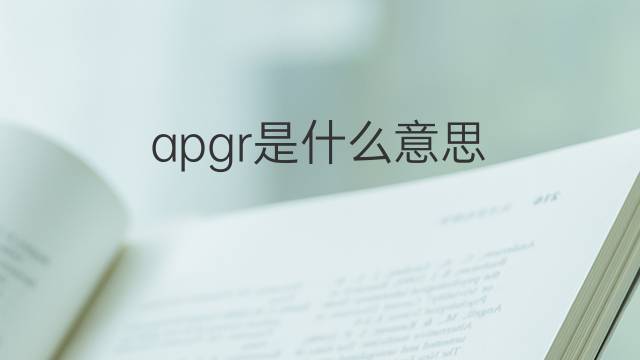 apgr是什么意思 apgr的中文翻译、读音、例句