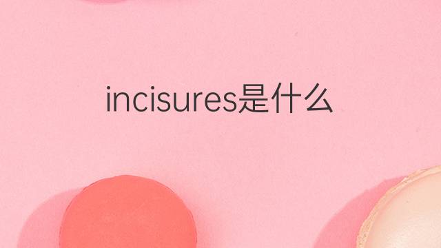 incisures是什么意思 incisures的翻译、读音、例句、中文解释