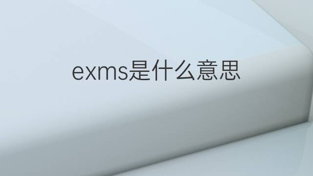 exms是什么意思 exms的翻译、读音、例句、中文解释