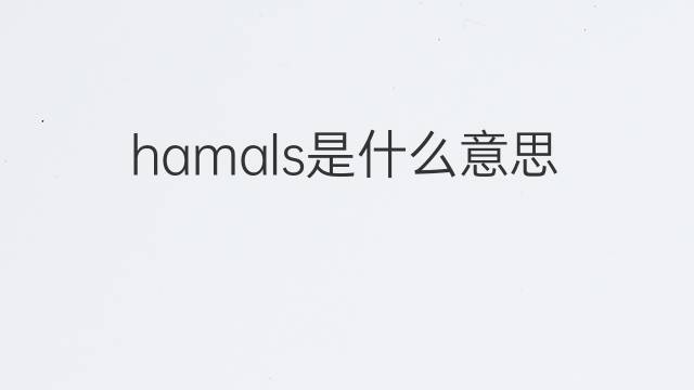 hamals是什么意思 hamals的中文翻译、读音、例句