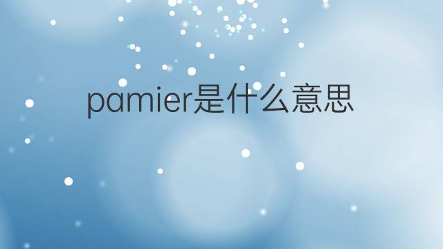 pamier是什么意思 pamier的中文翻译、读音、例句