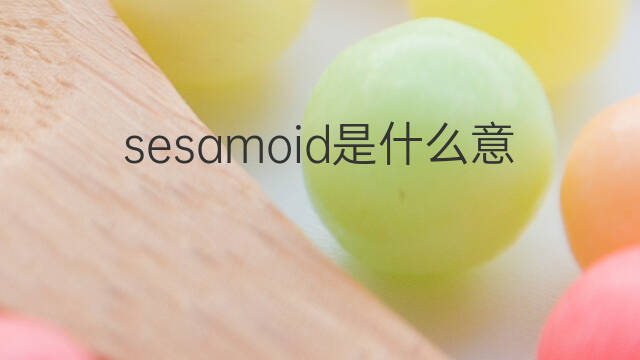 sesamoid是什么意思 sesamoid的中文翻译、读音、例句