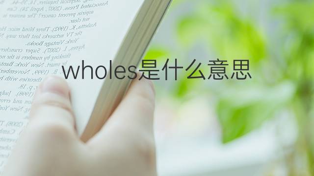 wholes是什么意思 wholes的中文翻译、读音、例句