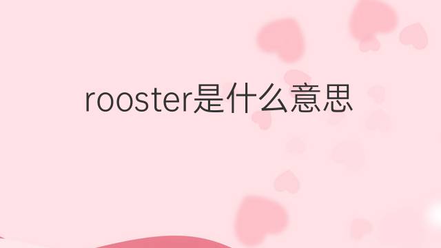 rooster是什么意思 rooster的翻译、读音、例句、中文解释
