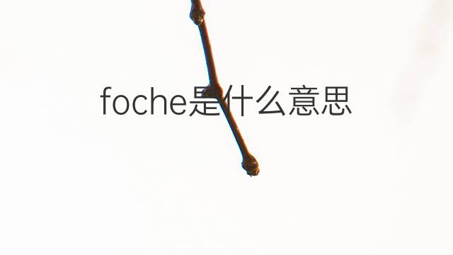 foche是什么意思 foche的中文翻译、读音、例句
