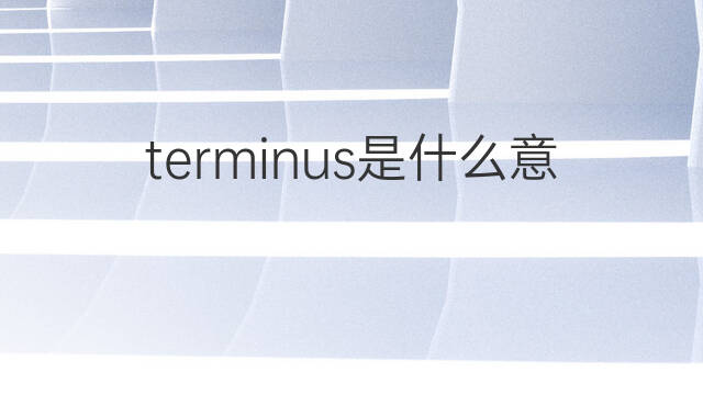 terminus是什么意思 terminus的中文翻译、读音、例句