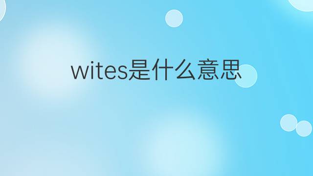 wites是什么意思 wites的中文翻译、读音、例句