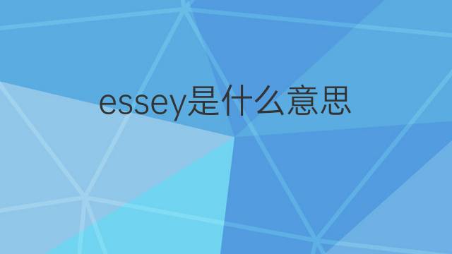 essey是什么意思 essey的中文翻译、读音、例句