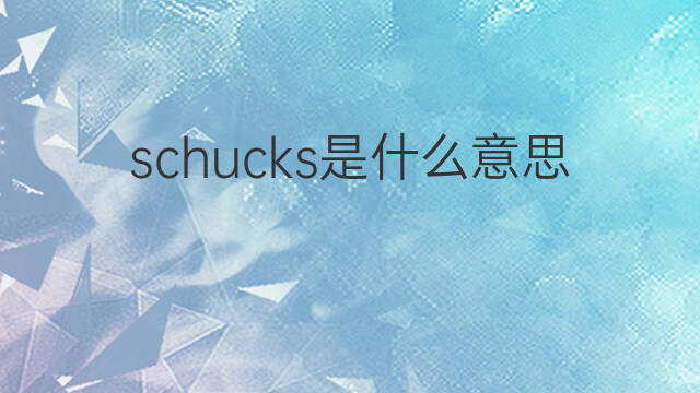 schucks是什么意思 schucks的中文翻译、读音、例句