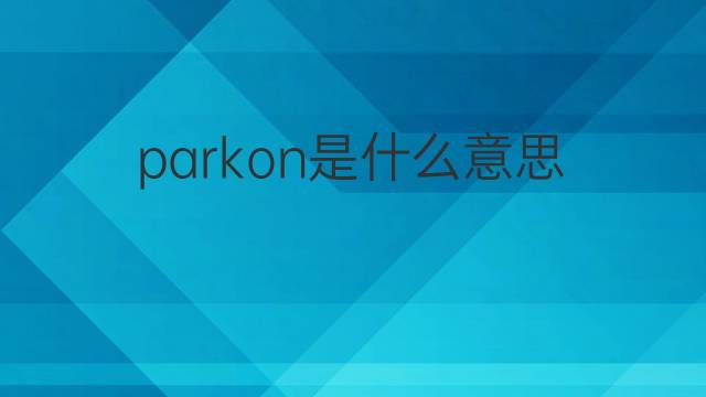 parkon是什么意思 parkon的翻译、读音、例句、中文解释