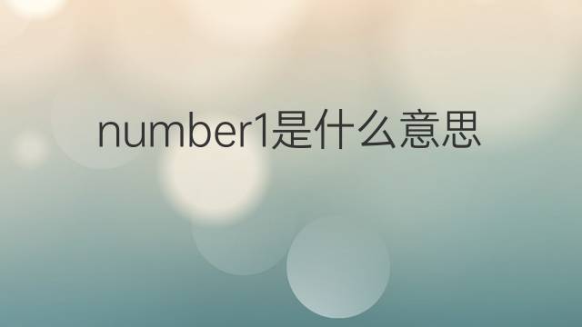 number1是什么意思 number1的中文翻译、读音、例句