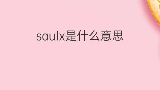 saulx是什么意思 saulx的中文翻译、读音、例句